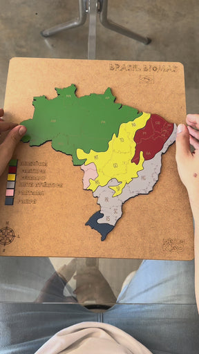 Quebra-Cabeça Mapa do Brasil Biomas